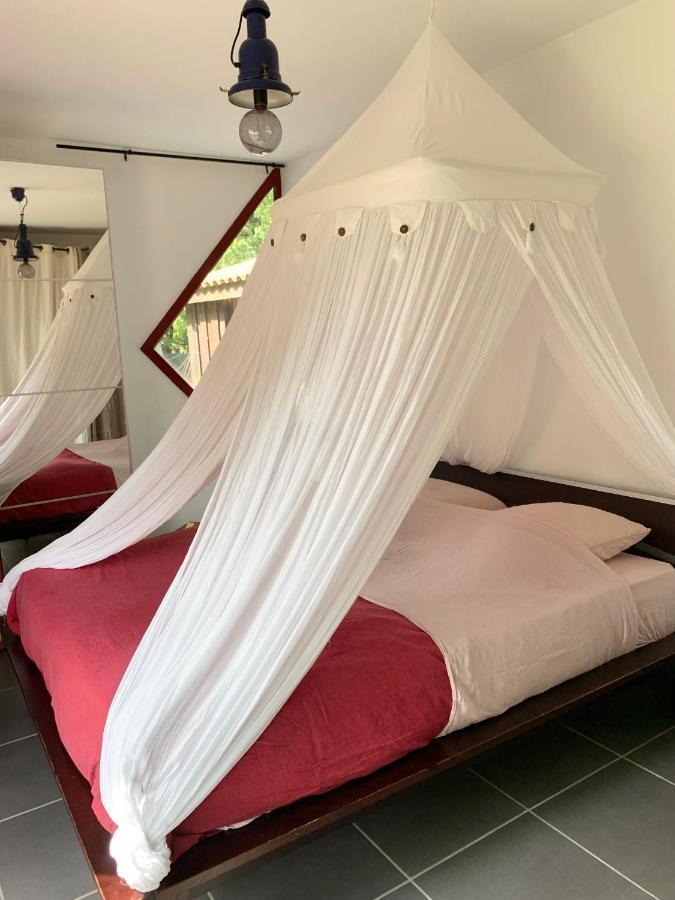 House De La Canopee, Swimming Pool, Lake, Forest, Large Garden And Wifi Hourtin Εξωτερικό φωτογραφία