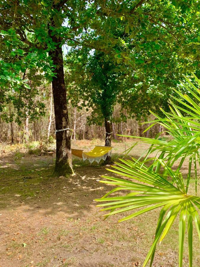 House De La Canopee, Swimming Pool, Lake, Forest, Large Garden And Wifi Hourtin Εξωτερικό φωτογραφία