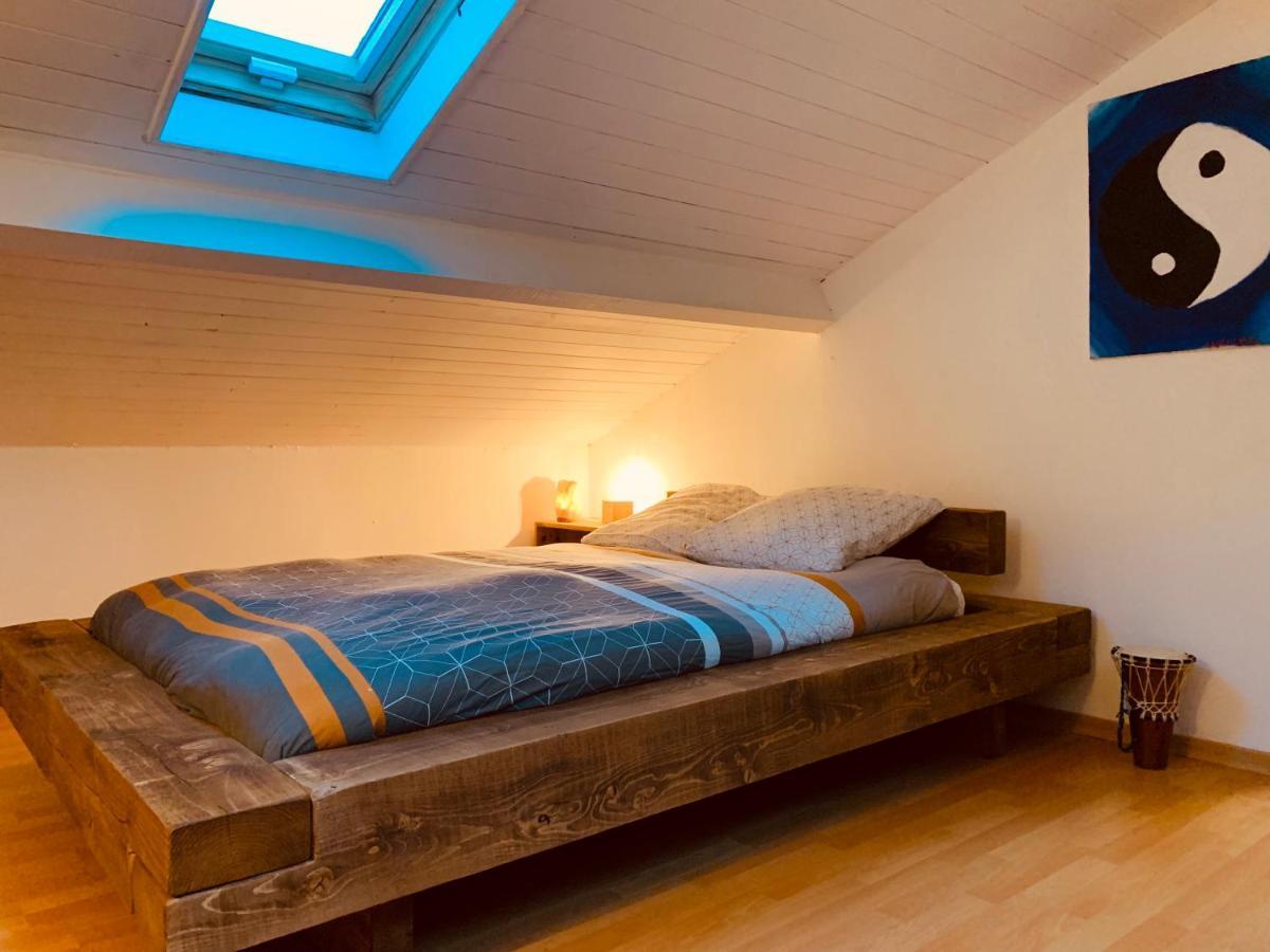 House De La Canopee, Swimming Pool, Lake, Forest, Large Garden And Wifi Hourtin Εξωτερικό φωτογραφία
