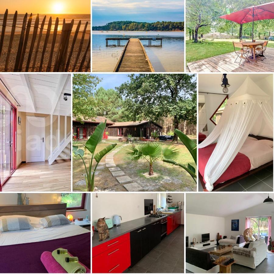 House De La Canopee, Swimming Pool, Lake, Forest, Large Garden And Wifi Hourtin Εξωτερικό φωτογραφία