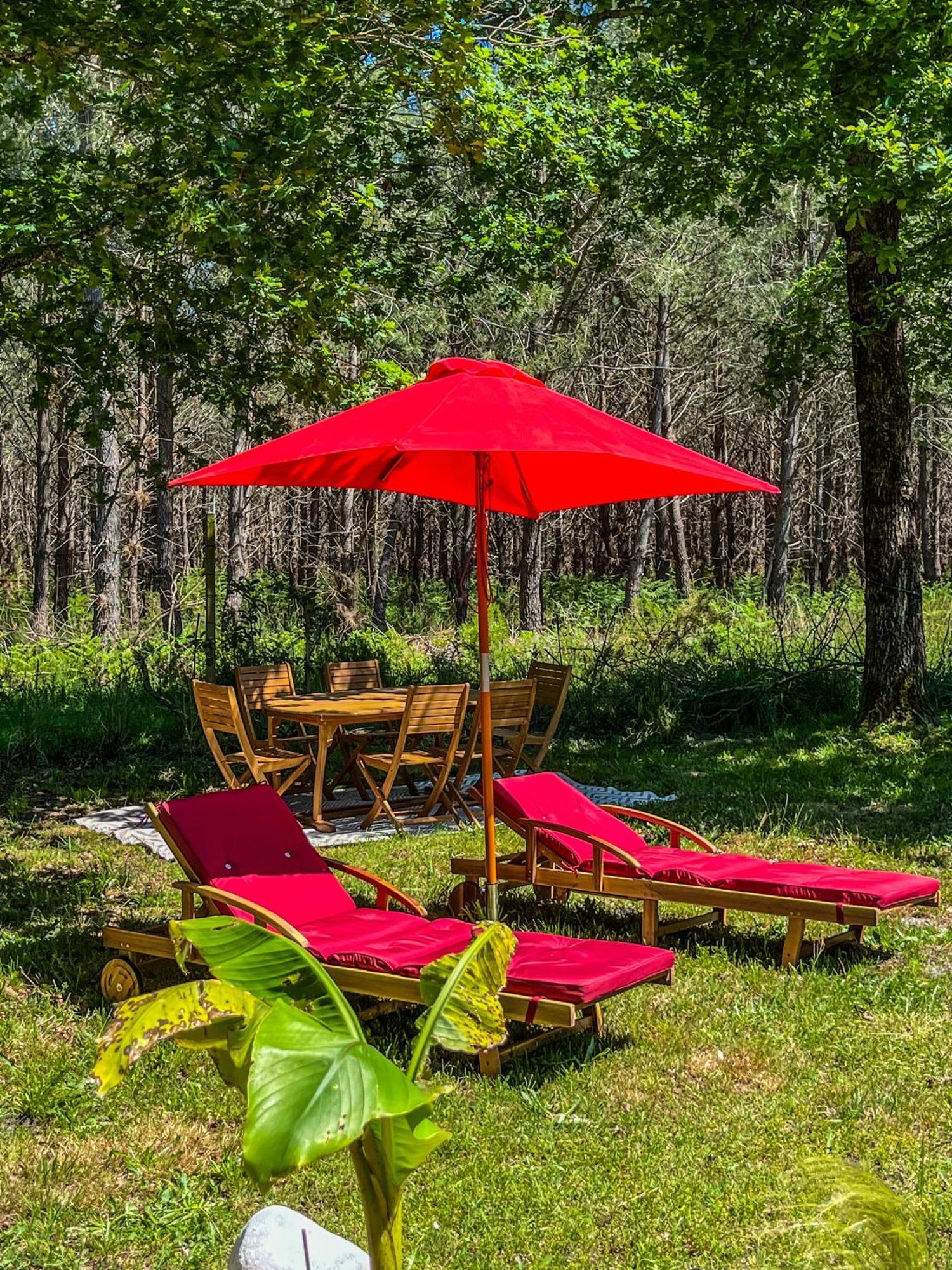 House De La Canopee, Swimming Pool, Lake, Forest, Large Garden And Wifi Hourtin Εξωτερικό φωτογραφία