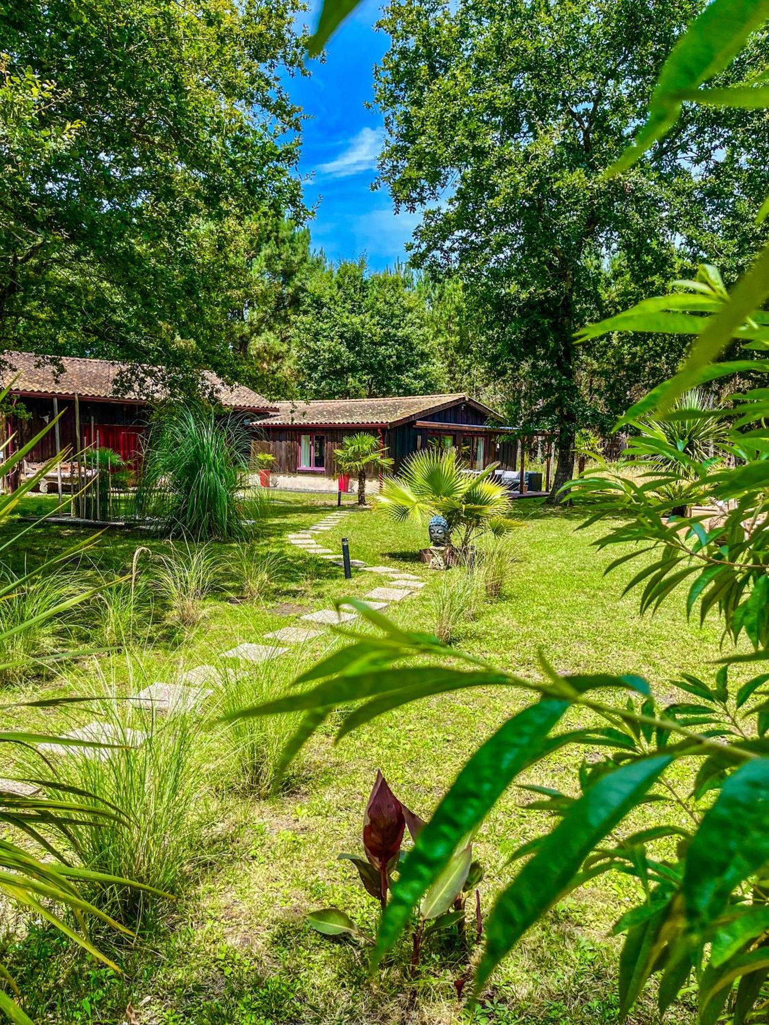 House De La Canopee, Swimming Pool, Lake, Forest, Large Garden And Wifi Hourtin Εξωτερικό φωτογραφία